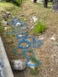 Land Art Projekt